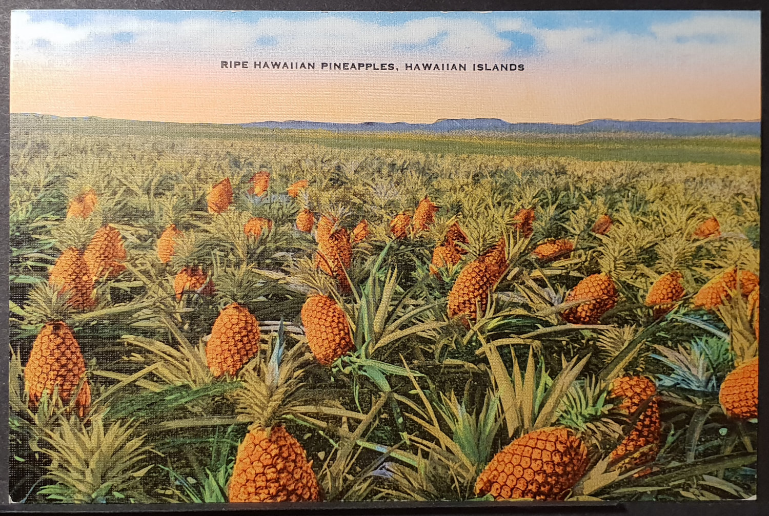(image for) postcard USA - HI - Hawaii #0017